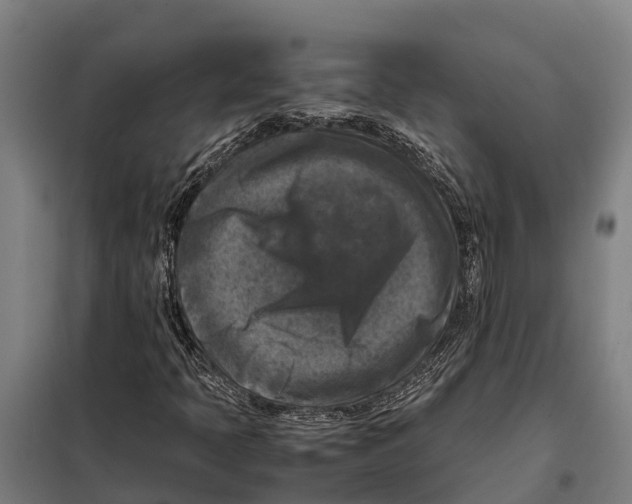 X0000098001397200804211118