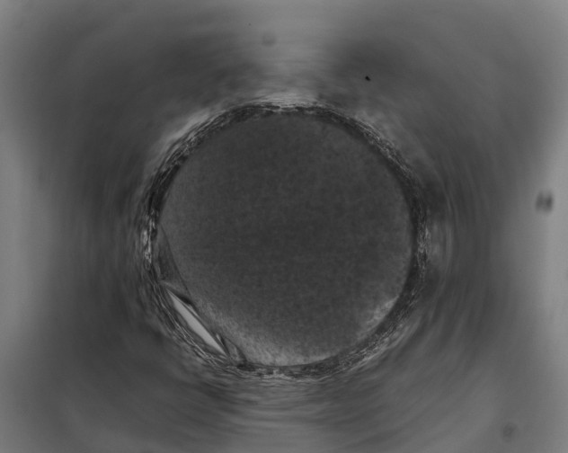 X0000098001398200804211118