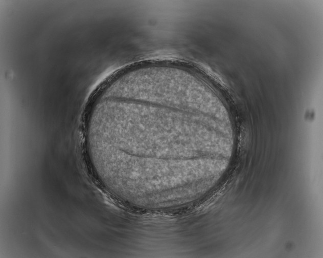 X0000098001400200804211118