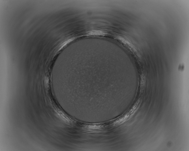 X0000098001401200804211118