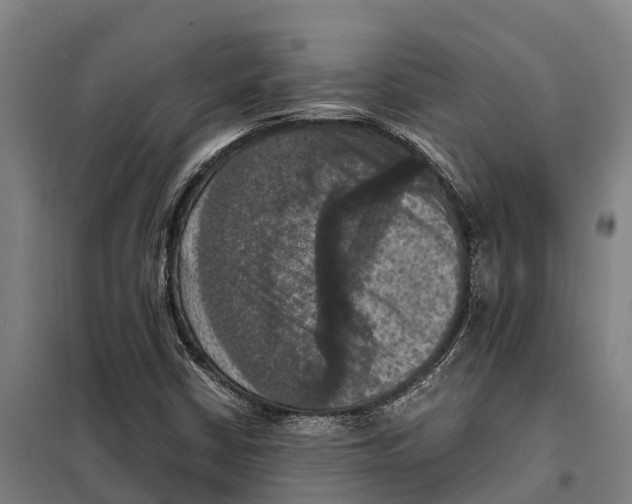X0000098001402200804211119