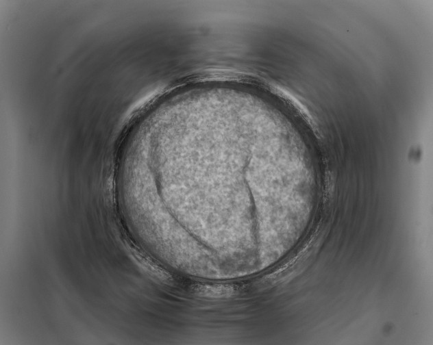 X0000098001403200804211119