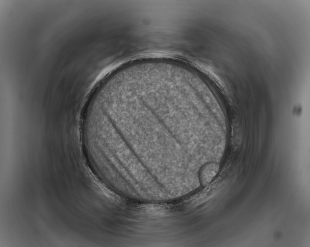 X0000098001404200804211119