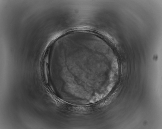 X0000098001405200804211119