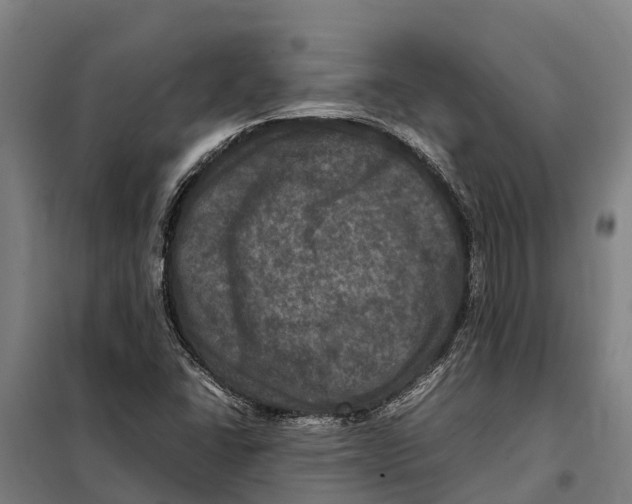 X0000098001406200804211119