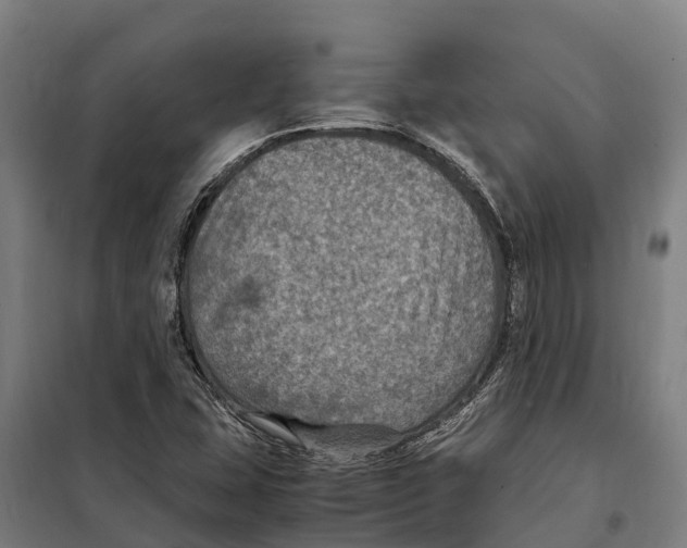 X0000098001407200804211119