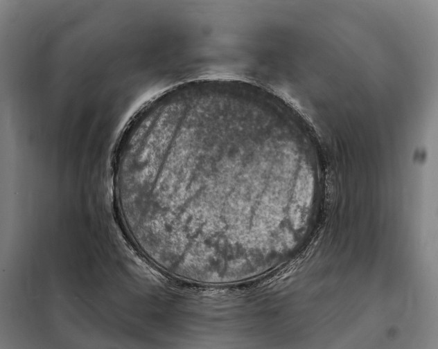 X0000098001408200804211119