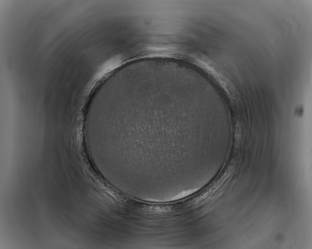 X0000098001411200804211119