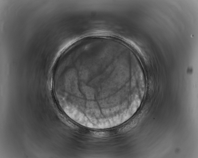 X0000098001413200804211119