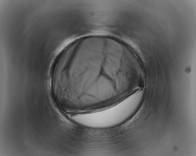 X0000098001414200804211119