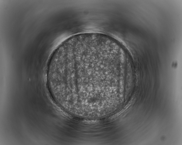 X0000098001415200804211119