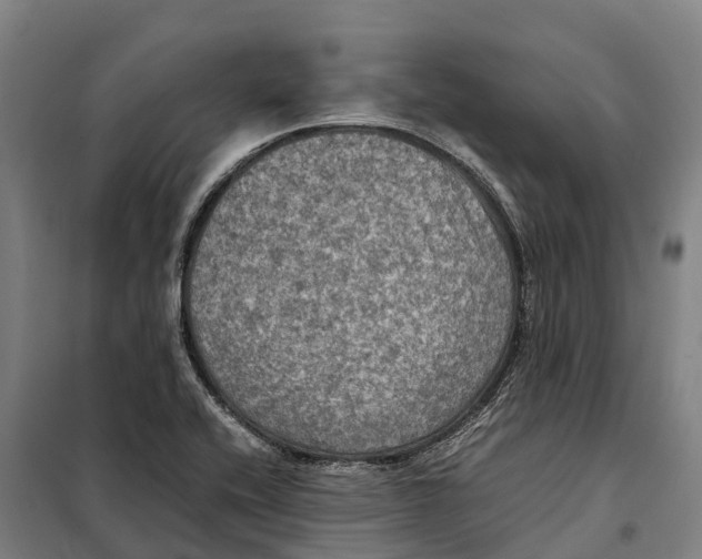 X0000098001416200804211119