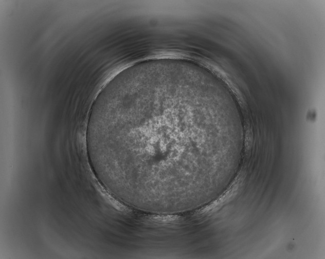 X0000098001417200804211119