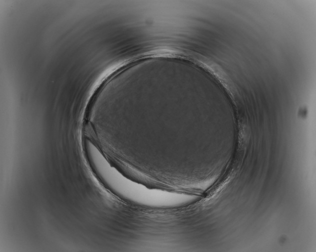 X0000098001418200804211119