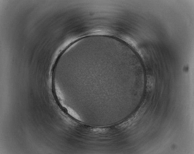 X0000098001419200804211119