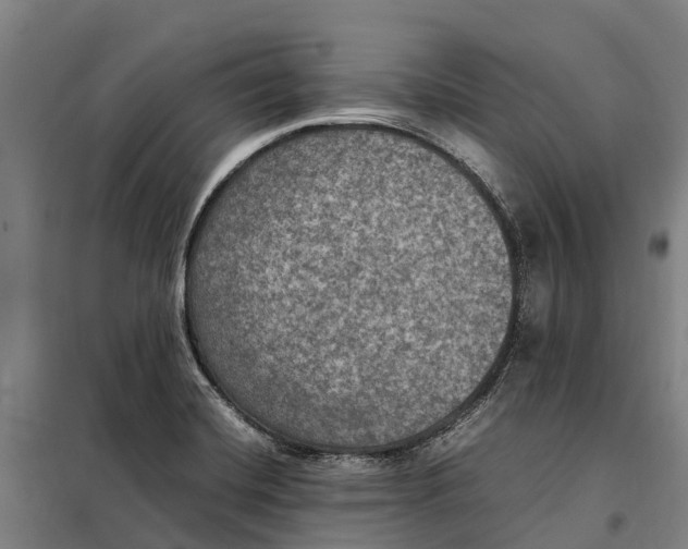 X0000098001420200804211119