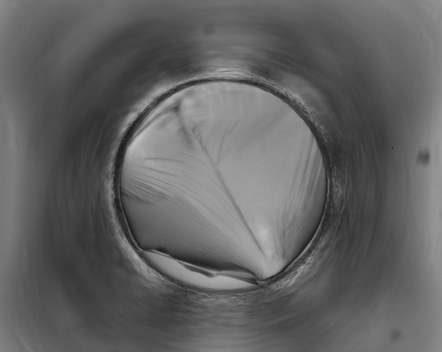 X0000098001422200804211119