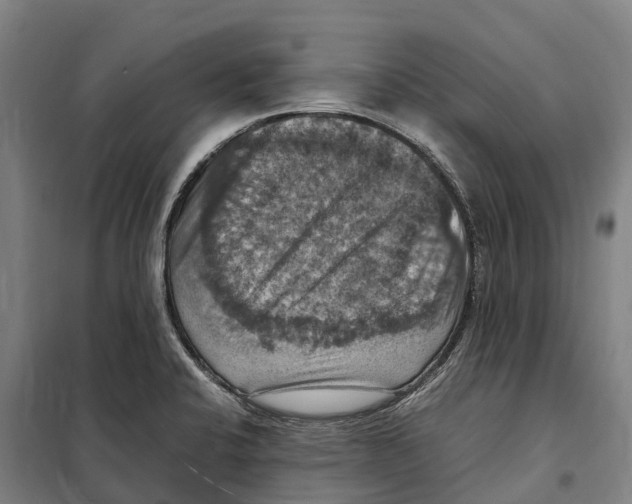 X0000098001424200804211119