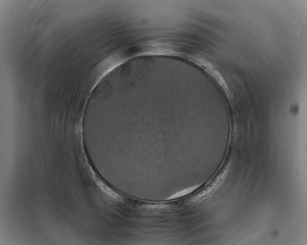 X0000098001425200804211119