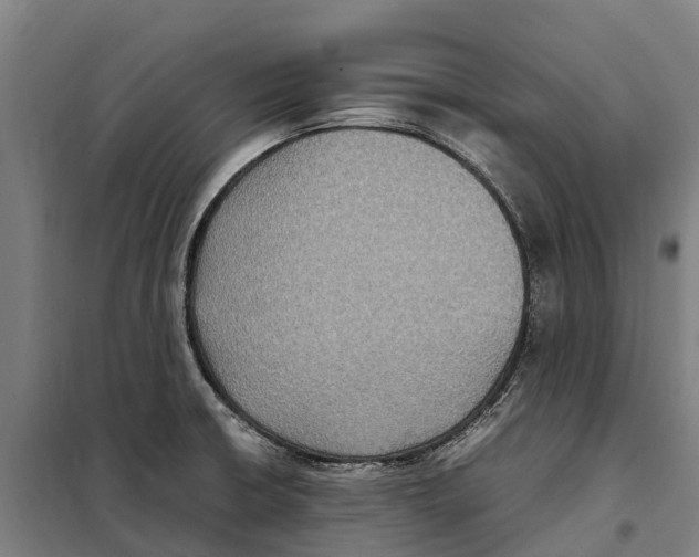 X0000098001426200804211119