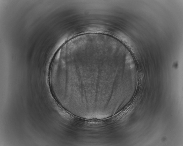 X0000098001427200804211119