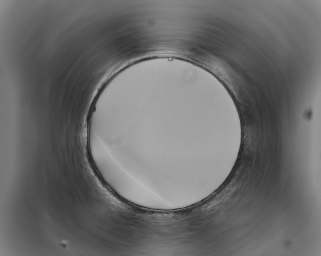 X0000098001428200804211119