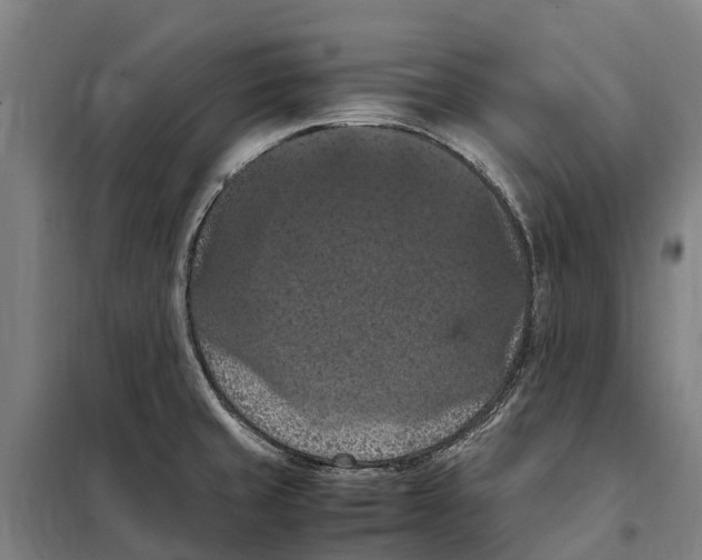 X0000098001429200804211119