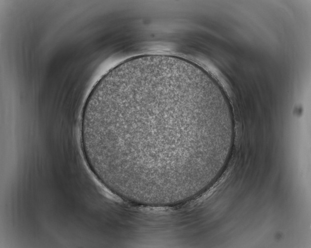 X0000098001432200804211119