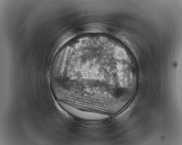 X0000098001433200804211119