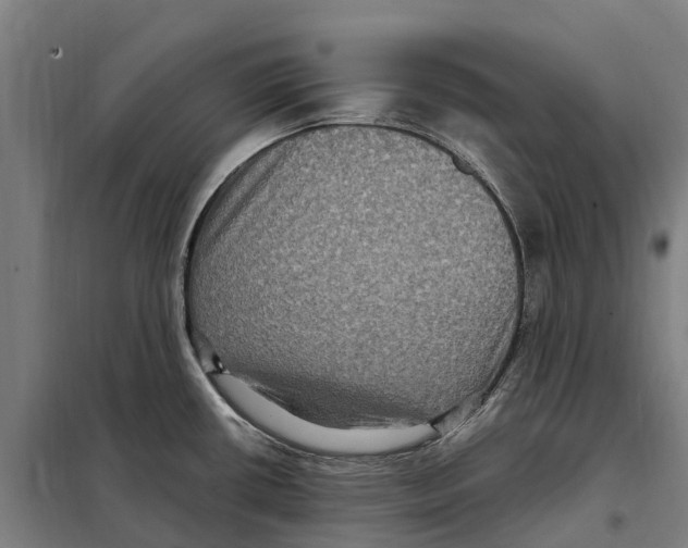 X0000098001434200804211119