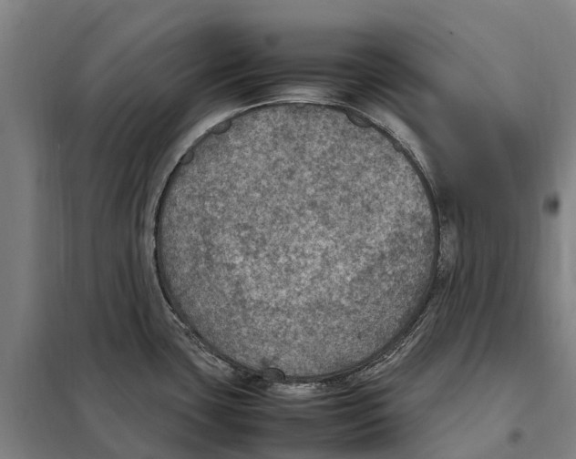 X0000098001435200804211119