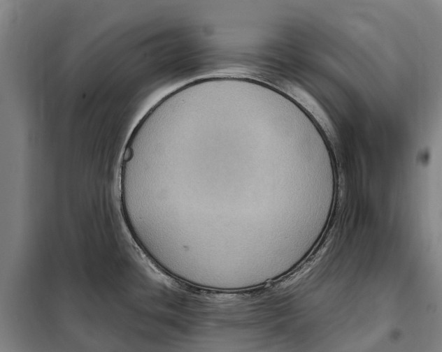 X0000098001436200804211119