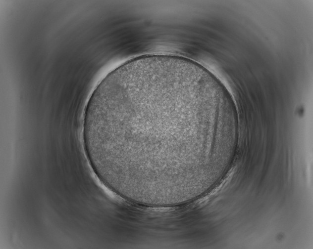 X0000098001437200804211119