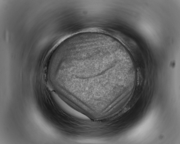 X0000098001438200804211119