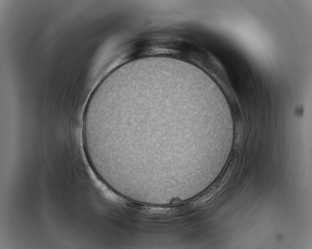 X0000098001439200804211119