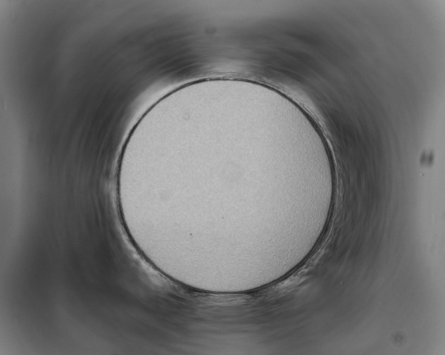 X0000098001440200804211119
