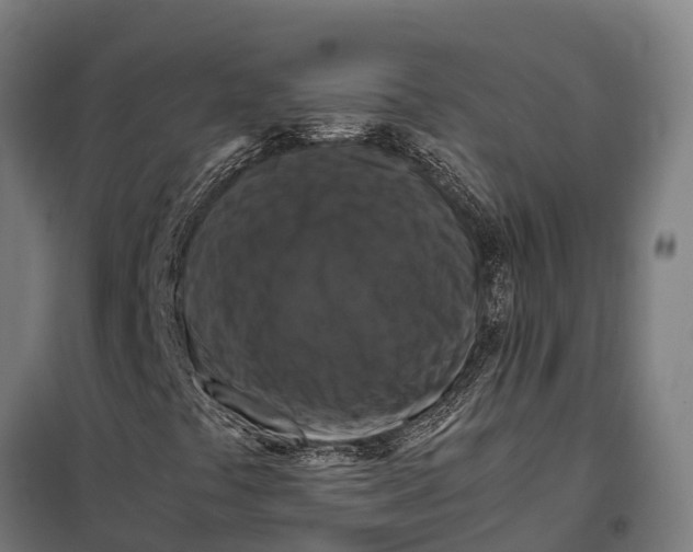X0000098001441200804211118