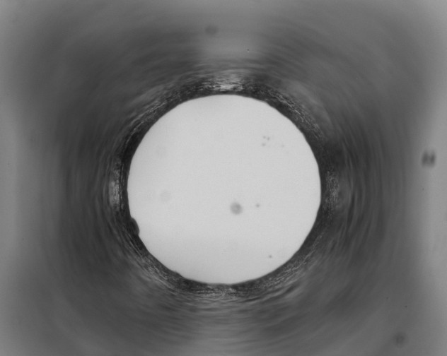X0000098001442200804211118