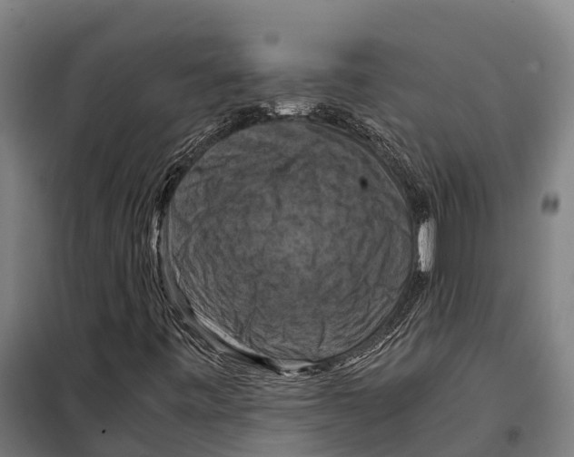 X0000098001443200804211118