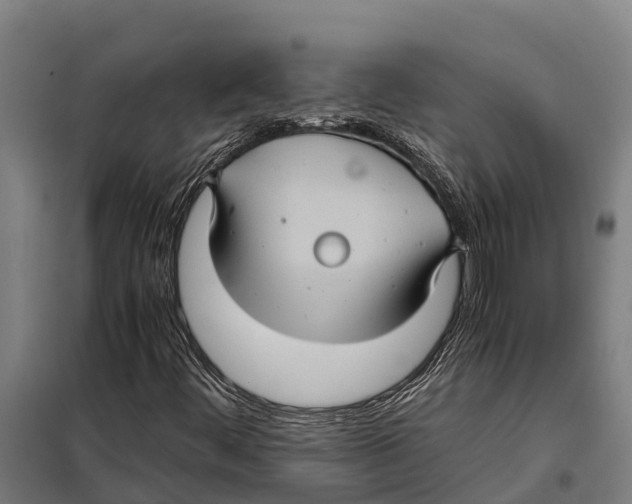 X0000098001444200804211118