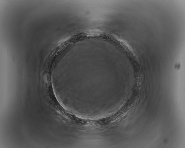 X0000098001445200804211118
