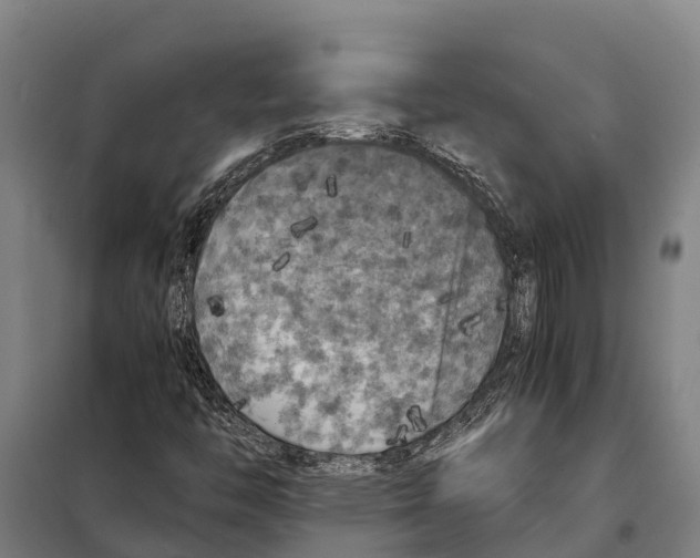 X0000098001446200804211118