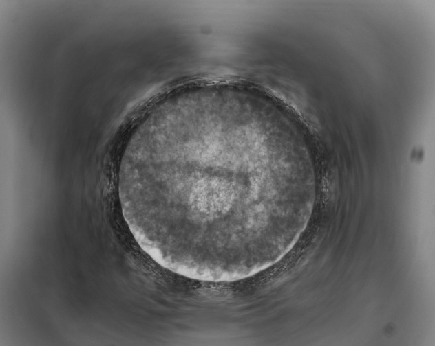 X0000098001447200804211118