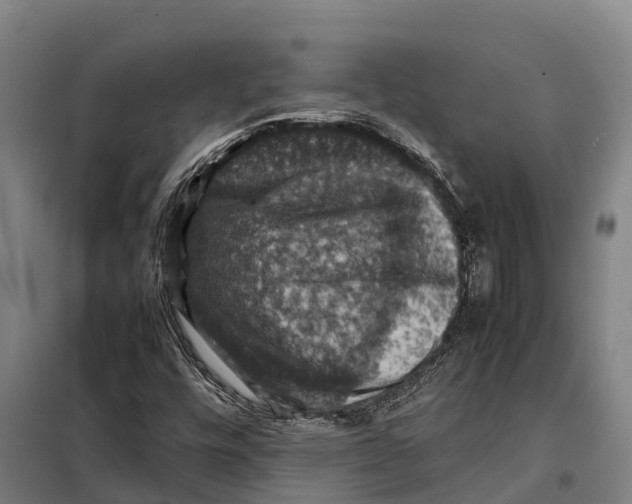 X0000098001448200804211118