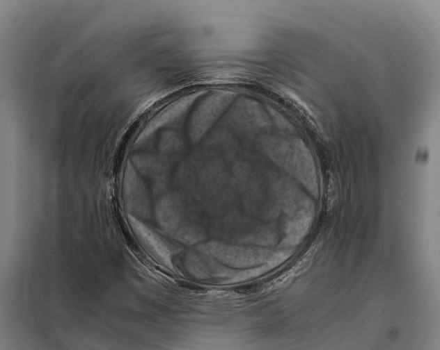 X0000098001449200804211118