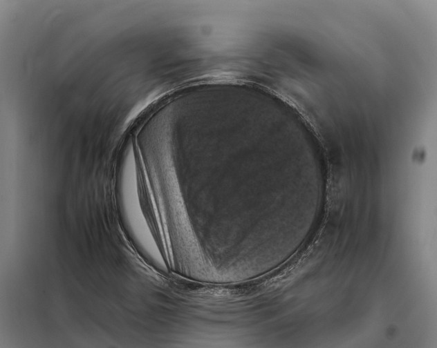 X0000098001450200804211118