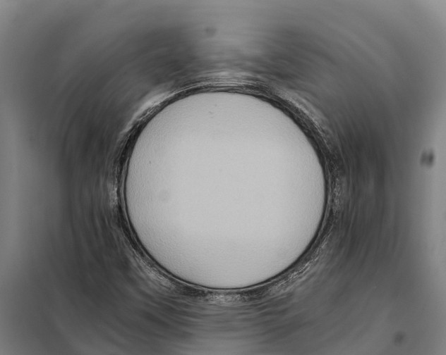 X0000098001451200804211118