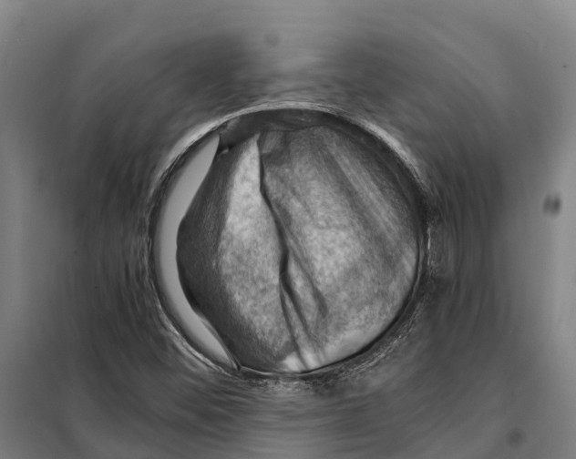 X0000098001452200804211118
