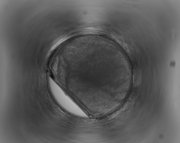 X0000098001453200804211118