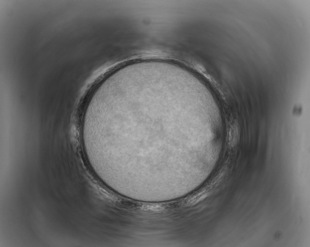 X0000098001454200804211118